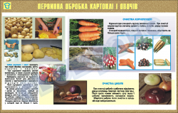 Плакат "Первичная обработка картошки и овощей"