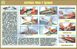 Плакат "Обработка рыбы в столовой"