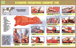 Плакат "Кулинарная разборка телячьей туши"