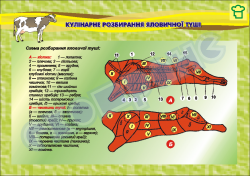 Плакат "Кулінарне розбирання яловичої туші"
