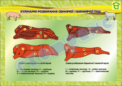 Плакат "Кулінарне розбирання свинячої і баранячої туш"