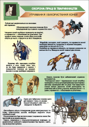 Плакат «Утримання і використання коней»(1) 1140109