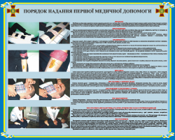 Плакат "Порядок оказания первой медицинской помощи" код 4530206