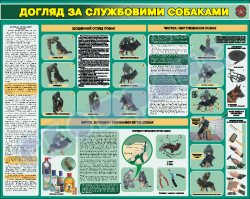 Уход за служебными собаками